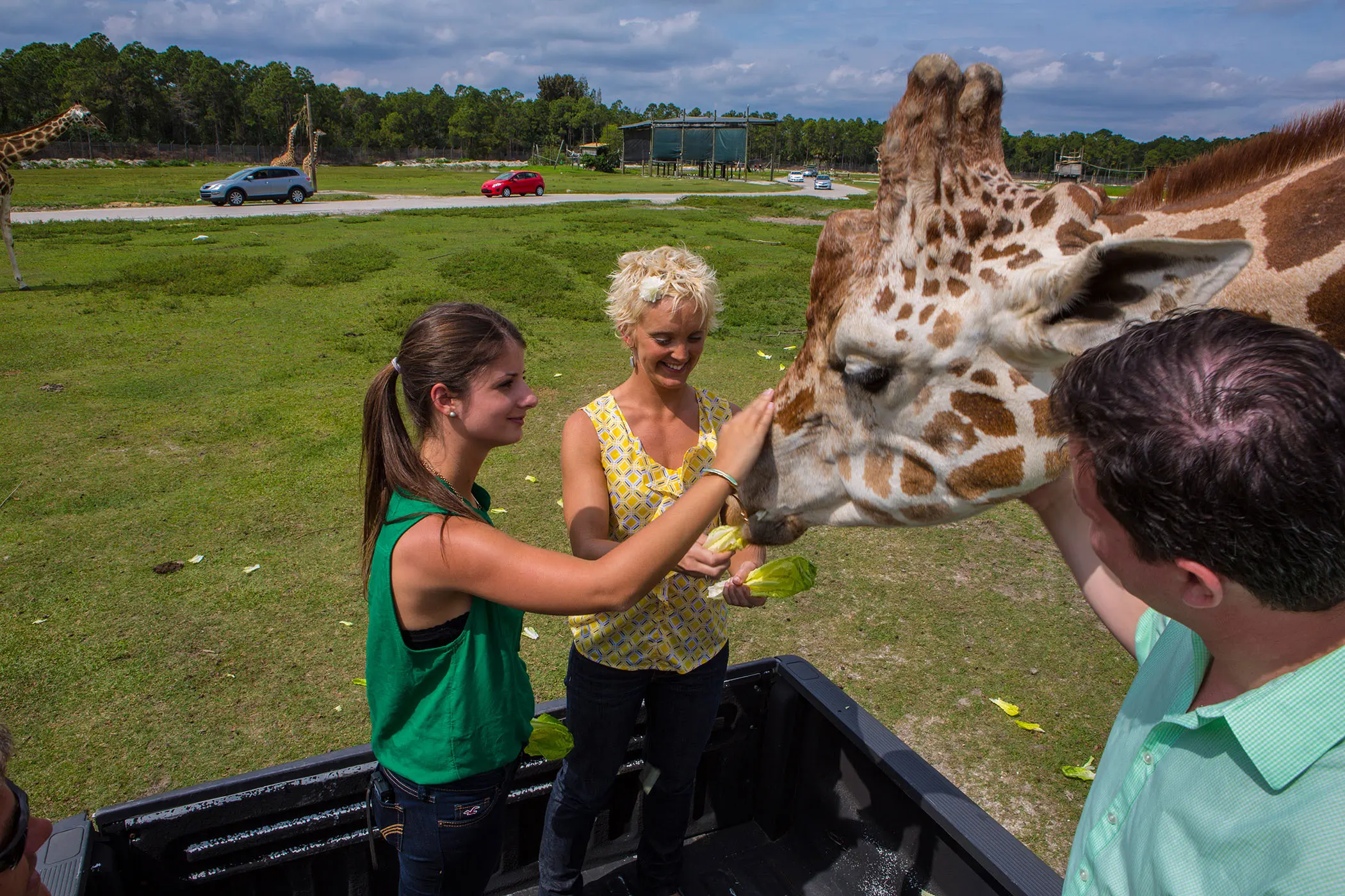 lion country safari
